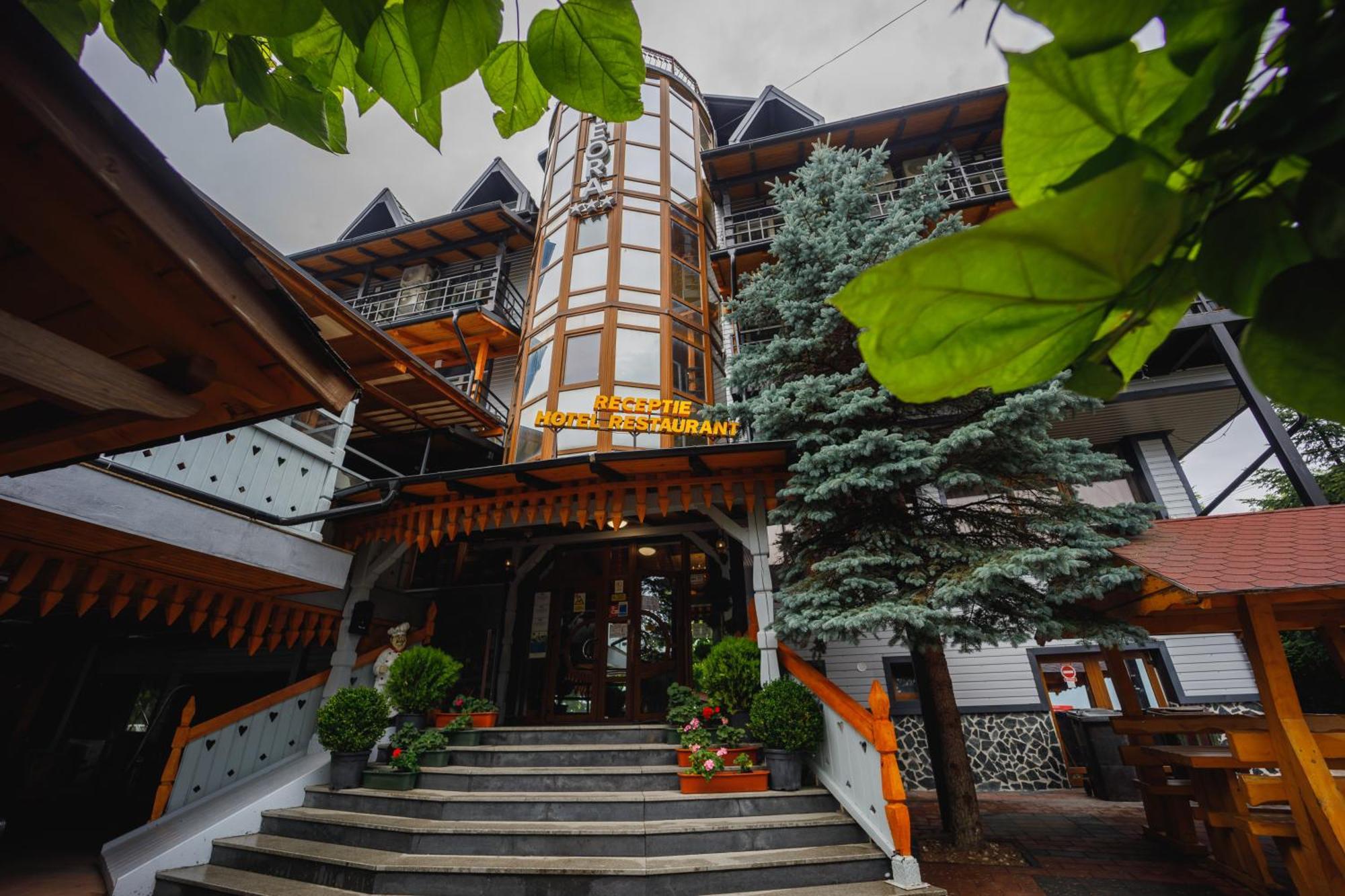 Pensiunea Meteora Suceava Extérieur photo